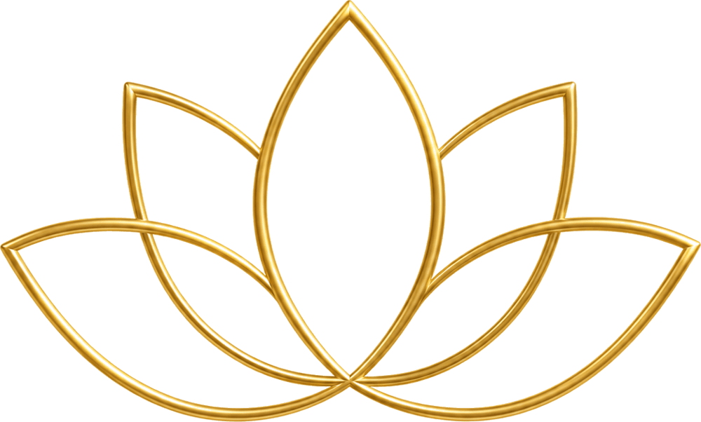 Lotusblüte